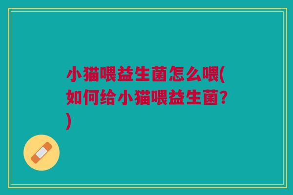 小猫喂益生菌怎么喂(如何给小猫喂益生菌？)
