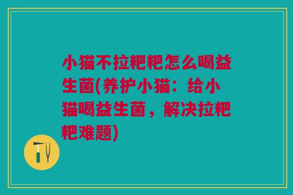 小猫不拉粑粑怎么喝益生菌(养护小猫：给小猫喝益生菌，解决拉粑粑难题)