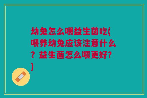 幼兔怎么喂益生菌吃(喂养幼兔应该注意什么?益生菌怎么喂更好?)