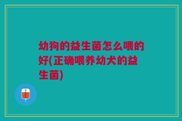 幼狗的益生菌怎么喂的好(正确喂养幼犬的益生菌)