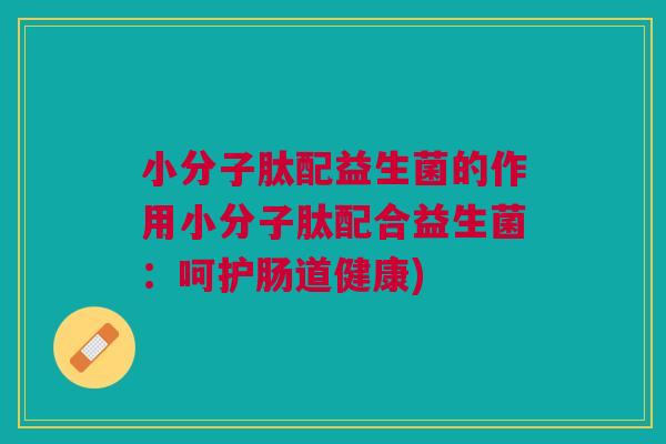 小分子肽配益生菌的作用小分子肽配合益生菌:呵护肠道健康)
