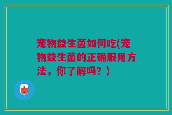 宠物益生菌如何吃(宠物益生菌的正确服用方法,你了解吗?)