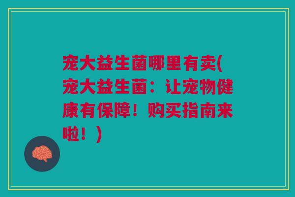 宠大益生菌哪里有卖(宠大益生菌:让宠物健康有保障!购买指南来啦!) 宠大益生菌哪里有卖(宠大益生菌:让宠物健康有保障!购买指南来啦!)