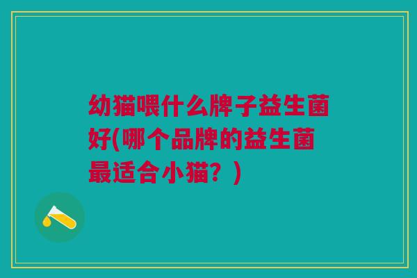 幼猫喂什么牌子益生菌好(哪个品牌的益生菌最适合小猫?)