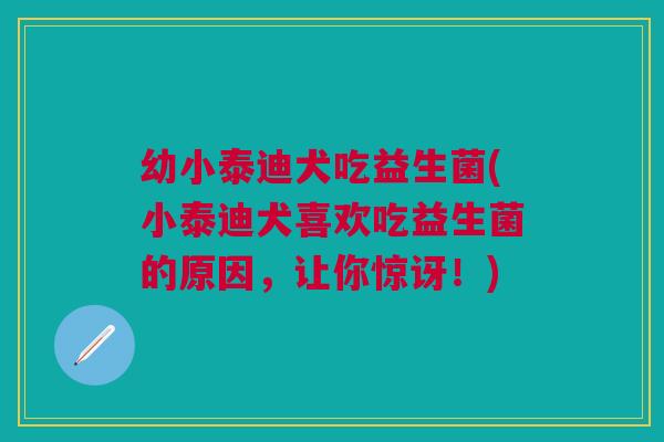 幼小泰迪犬吃益生菌(小泰迪犬喜欢吃益生菌的原因，让你惊讶！)