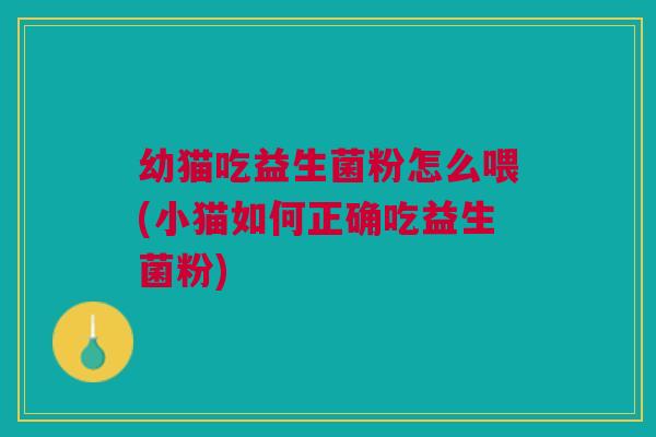 幼猫吃益生菌粉怎么喂(小猫如何正确吃益生菌粉)