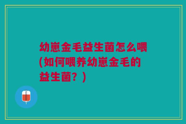 幼崽金毛益生菌怎么喂(如何喂养幼崽金毛的益生菌？)