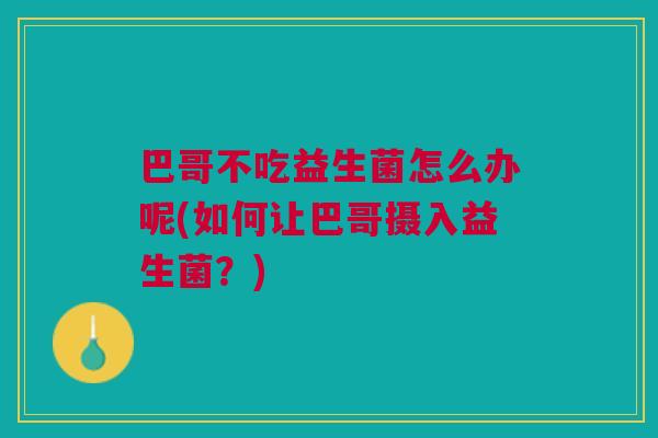 巴哥不吃益生菌怎么办呢(如何让巴哥摄入益生菌？)