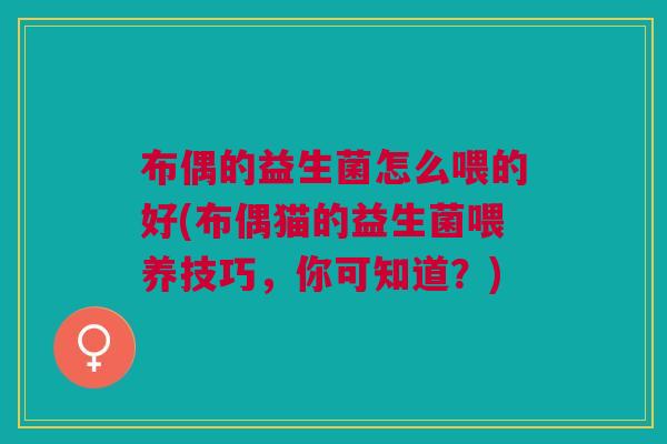 布偶的益生菌怎么喂的好(布偶猫的益生菌喂养技巧，你可知道？)