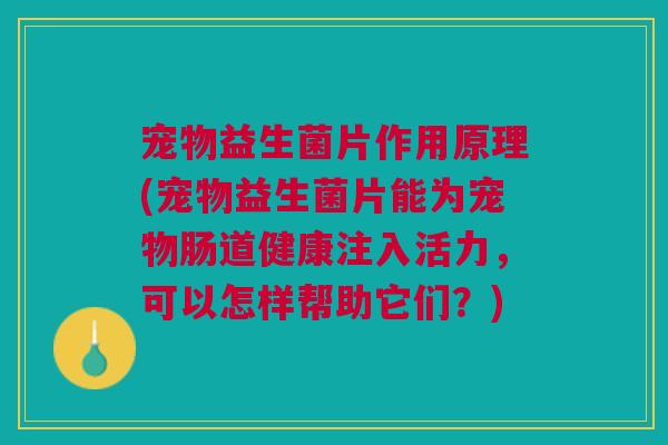 宠物益生菌片作用原理(宠物益生菌片能为宠物肠道健康注入活力，可以怎样帮助它们？)