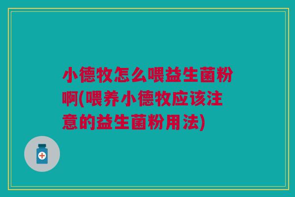 小德牧怎么喂益生菌粉啊(喂养小德牧应该注意的益生菌粉用法)