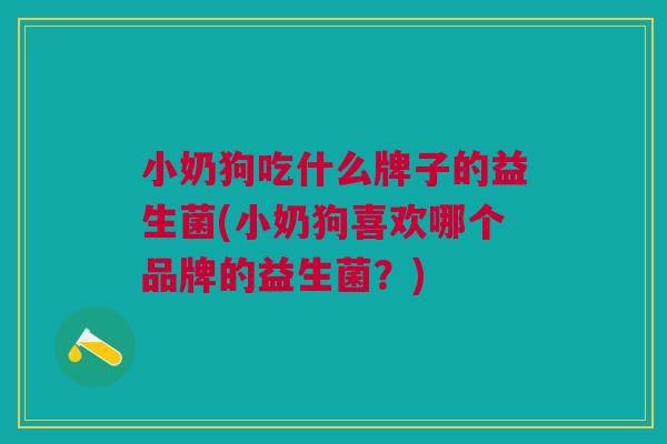 小奶狗吃什么牌子的益生菌(小奶狗喜欢哪个品牌的益生菌？)