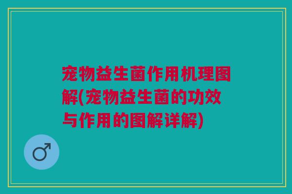 宠物益生菌作用机理图解(宠物益生菌的功效与作用的图解详解)