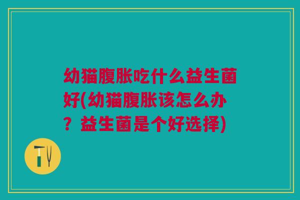幼猫腹胀吃什么益生菌好(幼猫腹胀该怎么办？益生菌是个好选择)