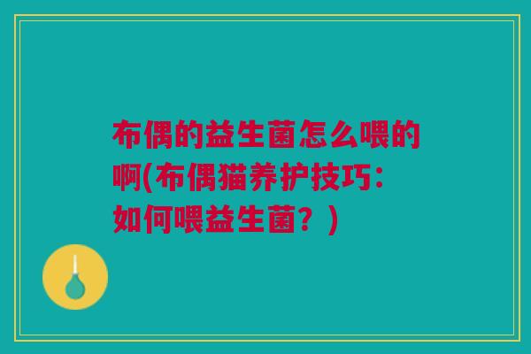 布偶的益生菌怎么喂的啊(布偶猫养护技巧：如何喂益生菌？)