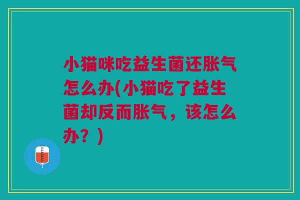 小猫咪吃益生菌还胀气怎么办(小猫吃了益生菌却反而胀气，该怎么办？)