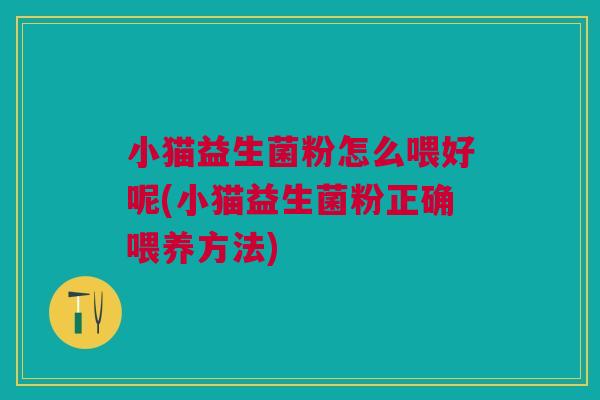 小猫益生菌粉怎么喂好呢(小猫益生菌粉正确喂养方法)