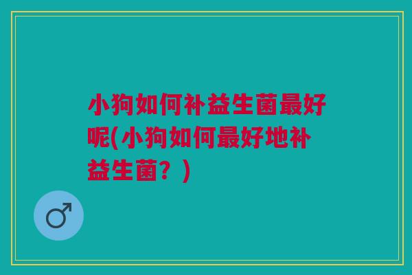 小狗如何补益生菌最好呢(小狗如何最好地补益生菌？)
