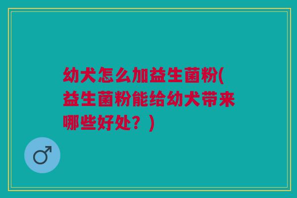 幼犬怎么加益生菌粉(益生菌粉能给幼犬带来哪些好处？)