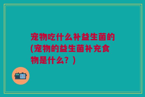 宠物吃什么补益生菌的(宠物的益生菌补充食物是什么？)
