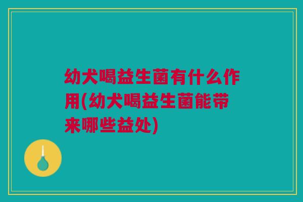 幼犬喝益生菌有什么作用(幼犬喝益生菌能带来哪些益处)