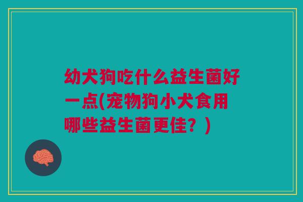 幼犬狗吃什么益生菌好一点(宠物狗小犬食用哪些益生菌更佳？)