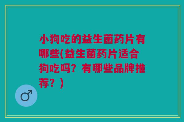 小狗吃的益生菌药片有哪些(益生菌药片适合狗吃吗？有哪些品牌推荐？)