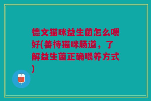 德文猫咪益生菌怎么喂好(善待猫咪肠道，了解益生菌正确喂养方式)