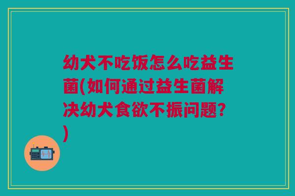 幼犬不吃饭怎么吃益生菌(如何通过益生菌解决幼犬食欲不振问题？)