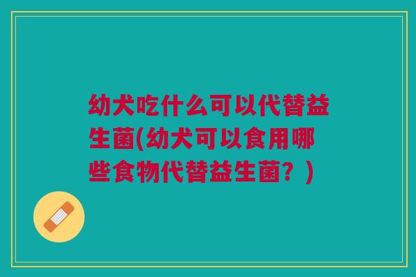 幼犬吃什么可以代替益生菌(幼犬可以食用哪些食物代替益生菌?)
