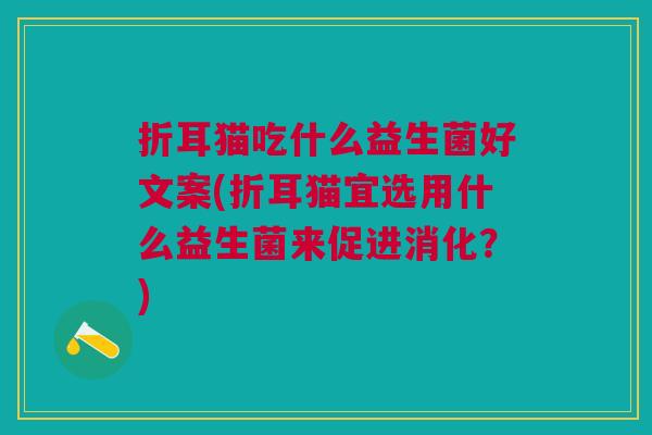折耳猫吃什么益生菌好文案(折耳猫宜选用什么益生菌来促进消化?)