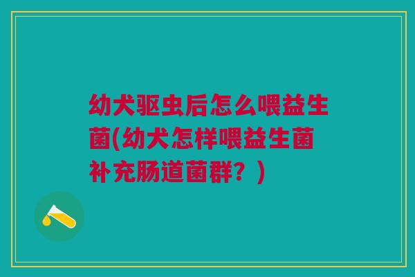 幼犬驱虫后怎么喂益生菌(幼犬怎样喂益生菌补充肠道菌群?)