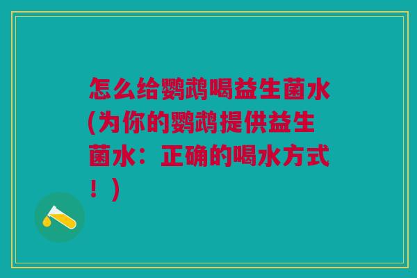 怎么给鹦鹉喝益生菌水(为你的鹦鹉提供益生菌水：正确的喝水方式！)