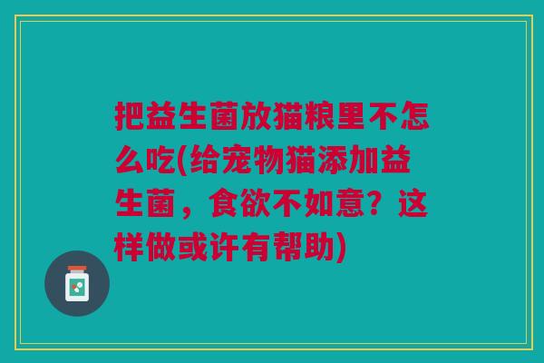 把益生菌放猫粮里不怎么吃(给宠物猫添加益生菌,食欲不如意?这样做或许有帮助)