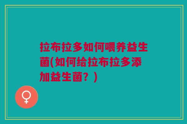 拉布拉多如何喂养益生菌(如何给拉布拉多添加益生菌?)
