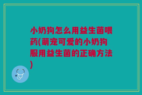 小奶狗怎么用益生菌喂药(萌宠可爱的小奶狗服用益生菌的正确方法)