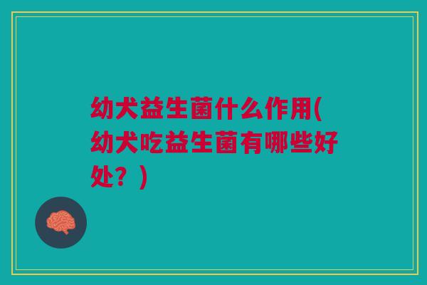 幼犬益生菌什么作用(幼犬吃益生菌有哪些好处?)