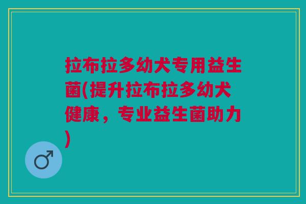 拉布拉多幼犬专用益生菌(提升拉布拉多幼犬健康,专业益生菌助力) 拉布拉多幼犬专用益生菌(提升拉布拉多幼犬健康,专业益生菌助力)