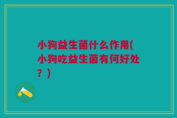 小狗益生菌什么作用(小狗吃益生菌有何好处?)
