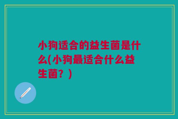 小狗适合的益生菌是什么(小狗最适合什么益生菌?)