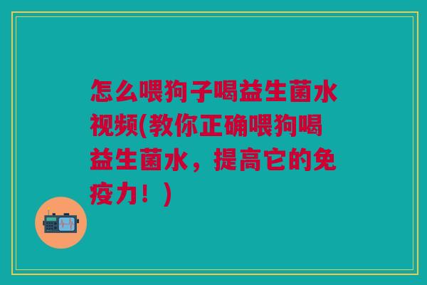 怎么喂狗子喝益生菌水视频(教你正确喂狗喝益生菌水,提高它的免疫力!)
