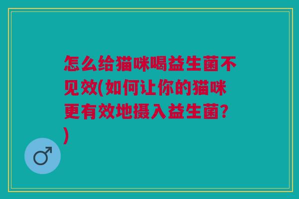 怎么给猫咪喝益生菌不见效(如何让你的猫咪更有效地摄入益生菌?)