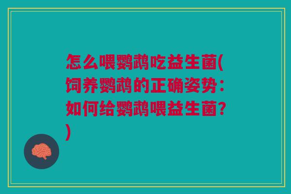 怎么喂鹦鹉吃益生菌(饲养鹦鹉的正确姿势:如何给鹦鹉喂益生菌?)