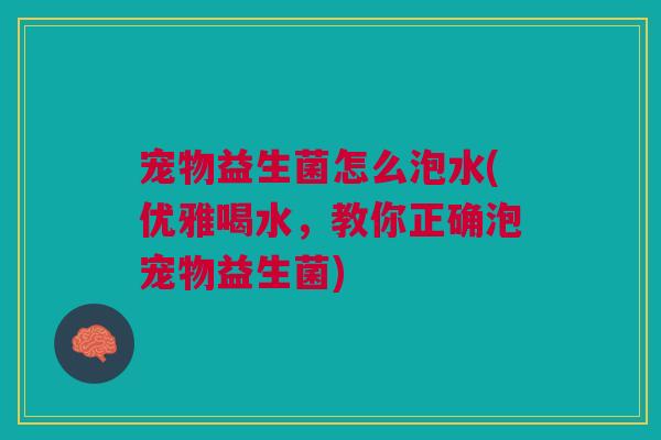 宠物益生菌怎么泡水(优雅喝水，教你正确泡宠物益生菌)