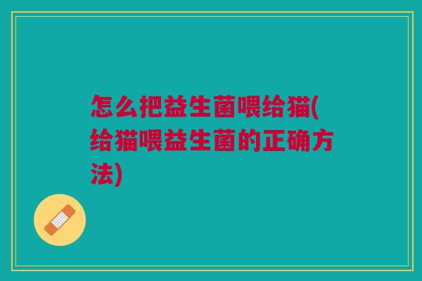 怎么把益生菌喂给猫(给猫喂益生菌的正确方法)