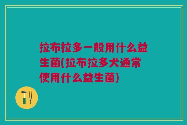 拉布拉多一般用什么益生菌(拉布拉多犬通常使用什么益生菌)