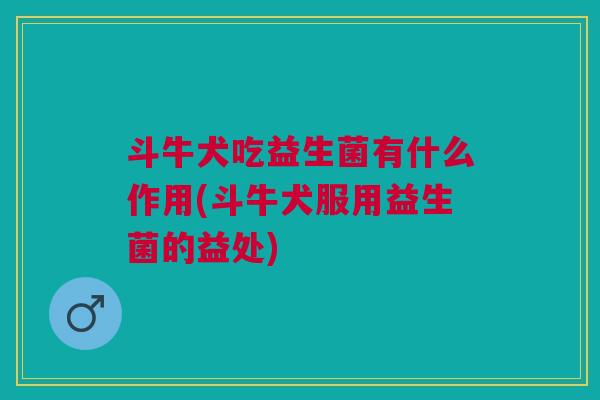 斗牛犬吃益生菌有什么作用(斗牛犬服用益生菌的益处)