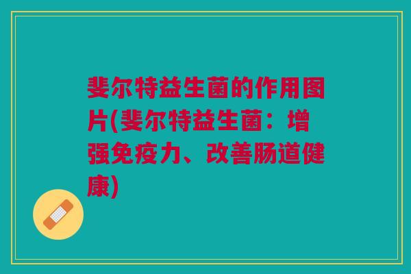 斐尔特益生菌的作用图片(斐尔特益生菌：增强免疫力、改善肠道健康)