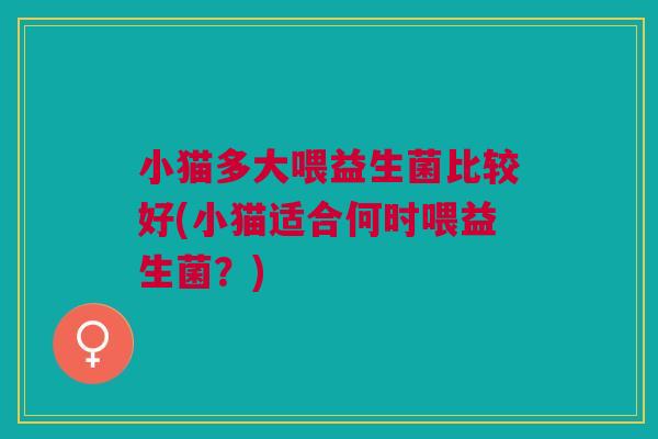 小猫多大喂益生菌比较好(小猫适合何时喂益生菌?)