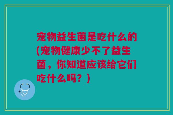 宠物益生菌是吃什么的(宠物健康少不了益生菌，你知道应该给它们吃什么吗？)